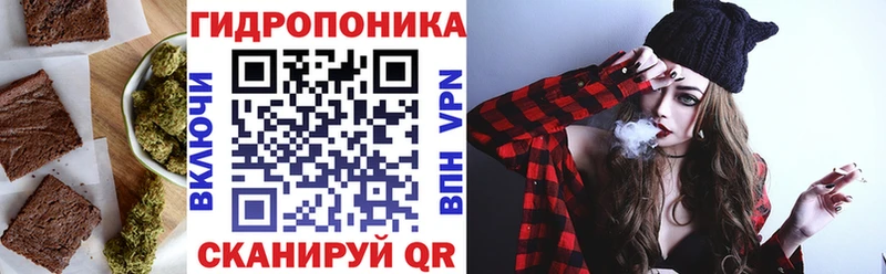 магазин продажи наркотиков  Дмитров  маркетплейс наркотические препараты  Печенье с ТГК конопля  OMG сайт 