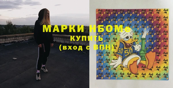 гидропоника Медногорск