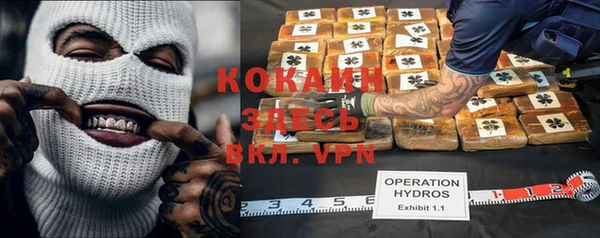 кокс Гусь-Хрустальный