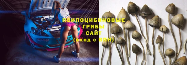 дурь Медвежьегорск