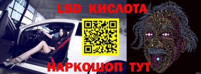 СК Волгодонск