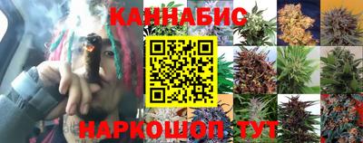 соль курить ск Аргун