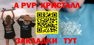 СК Волгодонск