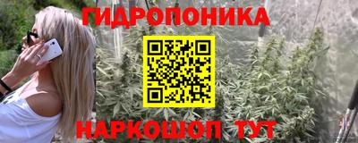 ГАЛЛЮЦИНОГЕННЫЕ ГРИБЫ Апшеронск