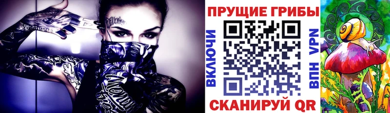 Псилоцибиновые грибы Psilocybine cubensis  Дмитров 