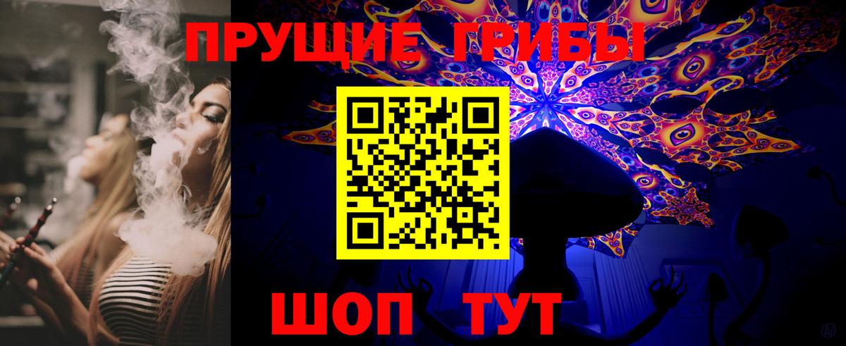 Псилоцибиновые грибы Cubensis Дмитров