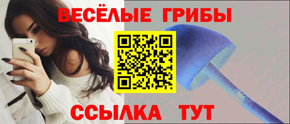 Дмитров  Галлюциногенные грибы GOLDEN TEACHER  Вход с VPN  Псилоцибиновые грибы Cubensis 