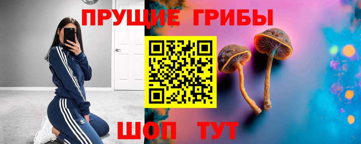 Галлюциногенные грибы Psilocybine cubensis Дмитров